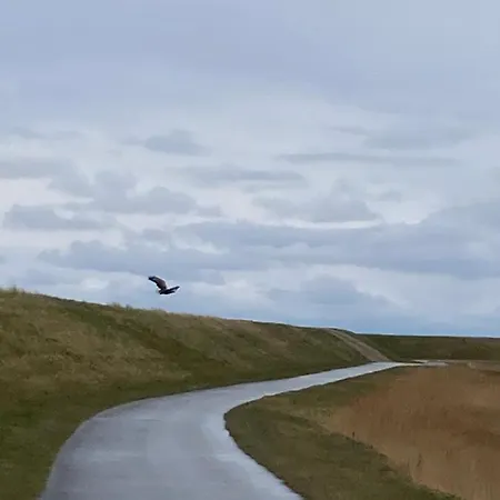 Lille Rode Hus Mando 里伯